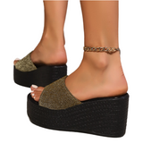Open Toe Wedge Sandals